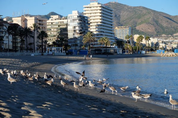 Alquiler de apartamento frente al mar en Fuengirola - Imagen 27